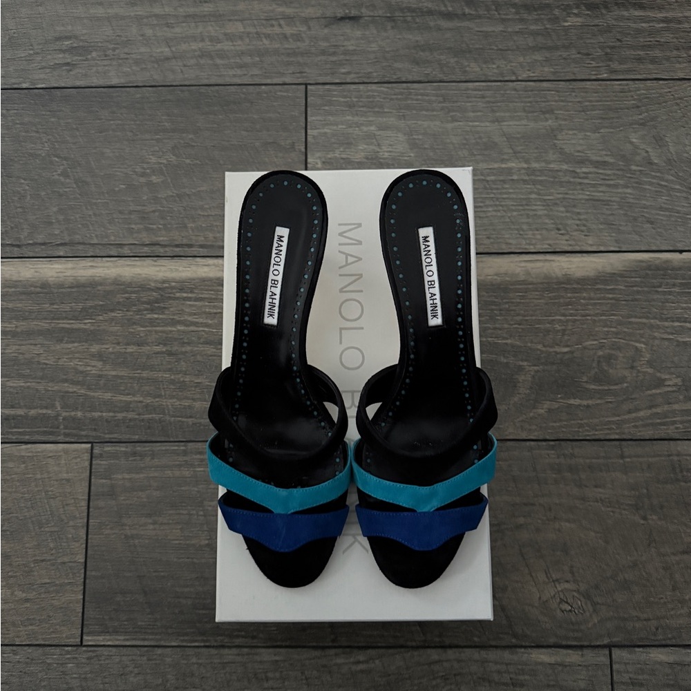 Manolo Blahnik Black and Blue Heels